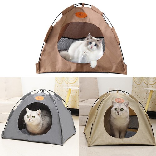 Pet tent cat - cat, play
