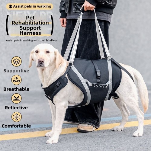 Adjustable dog lift harness - dog,