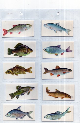 Dif sets cards - dif, issued