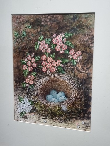 Birds nest and fauna - by, artist