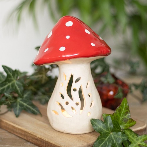 Enchanted forest mushroom - forest,