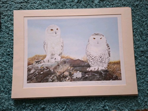 Limited edition print - edition,