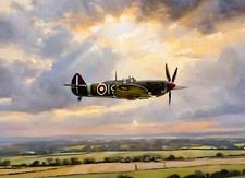 Spitfire Plane Aircraft ww2