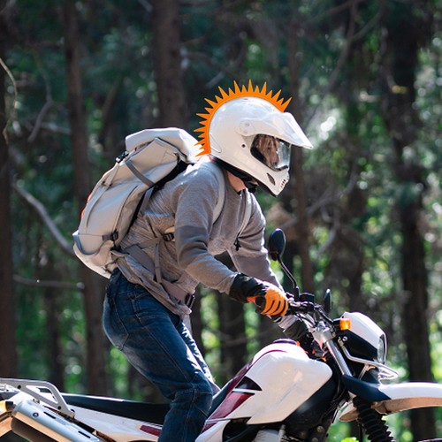 Motorcycle ornament - motorcycle,