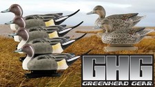 Duck Decoys set of 6 GHG