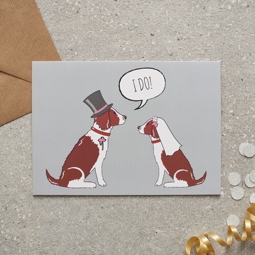 Dog wedding engagement - dog, /