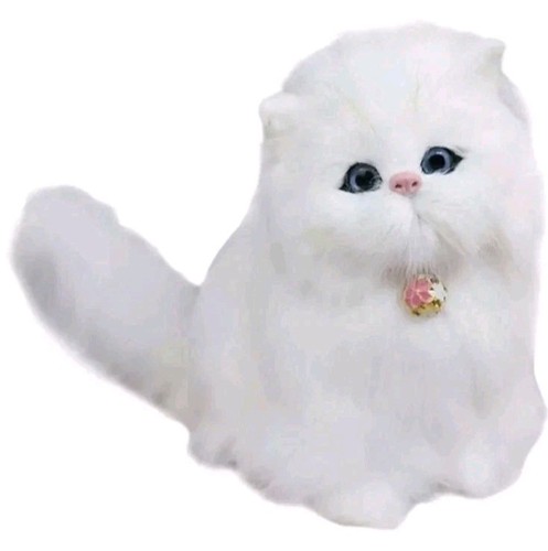 Persian cat animal model plush - persian,