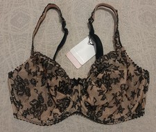 Prima Donna Dolce Vita Wired