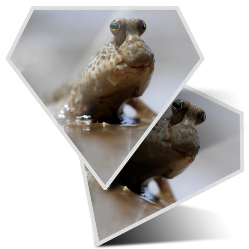 Diamond shape vinyl - 2x,