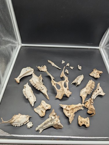 British fallow and - fallow,
