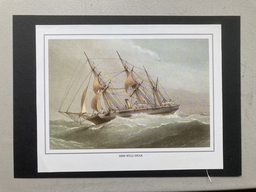 Naval print hms wild swan - print-,