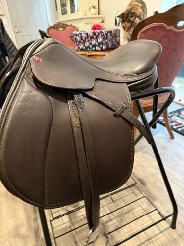 Arabian saddle company - company, elan
