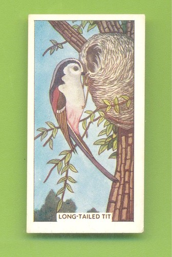 British birds and their - and,