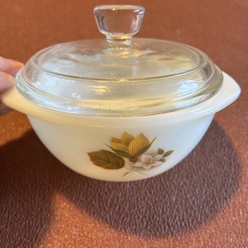Vintage jaj autumn glory pyrex - autumn,