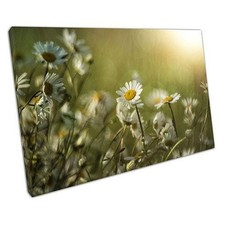 Retro Daisy Canvas Wall Art