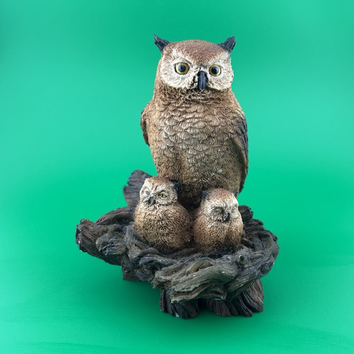 Beautiful large owl family - large,