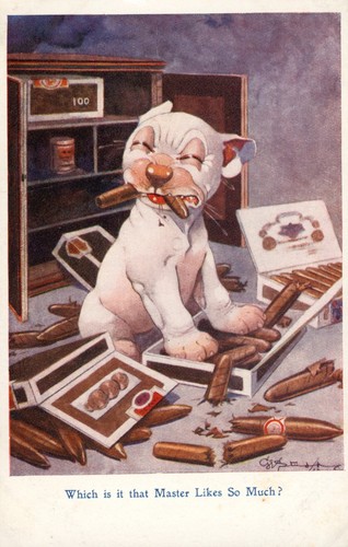 Bonzo postcard george - george, e