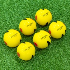 FORTRESS Cricket Coachaballs
