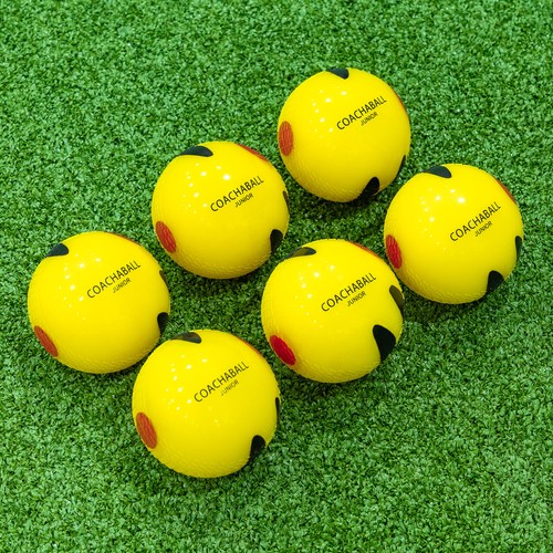 Fortress cricket coachaballs - cricket,