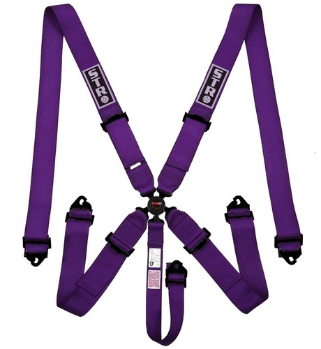 Sfi point race - race, seat