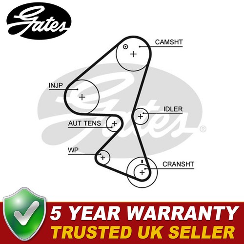 Gates timing belt fits peugeot - timing,