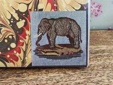 Elizabeth Bradley 'THE