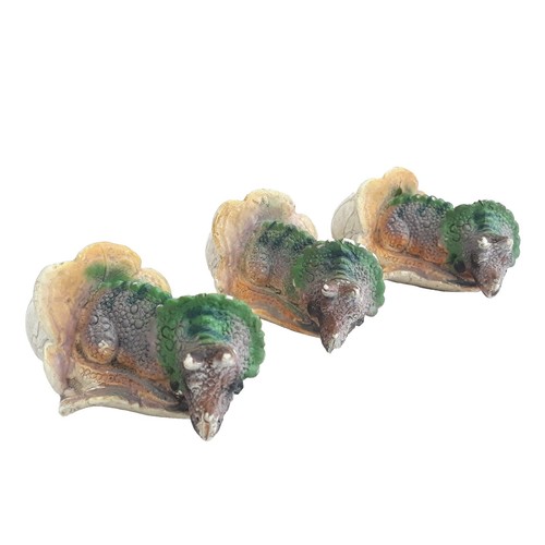 Toy dinosaurs triceratops - toy,