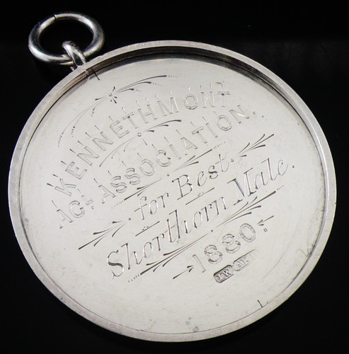 Scottish provincial silver - scottish,