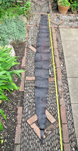 Genuine snakeskin snake skin - genuine,