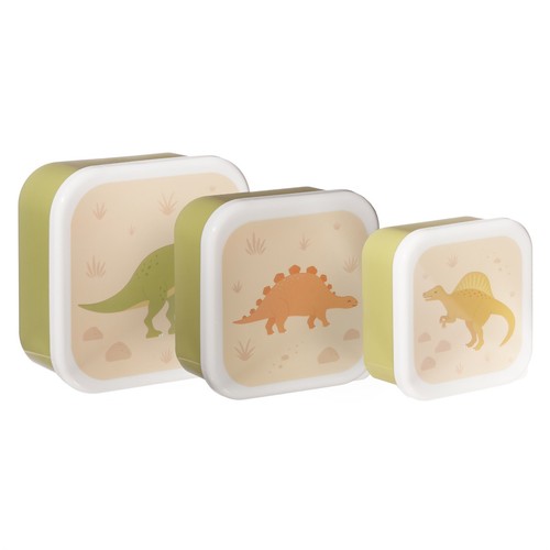Desert dino lunch boxes - lunch,