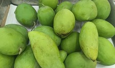 Fresh Raw Mangoes 1 Kg Next