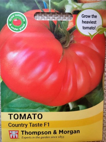 Huge meaty beefsteak - , tomato