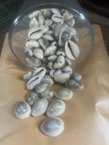 Goldring gold ring cowries - gold,