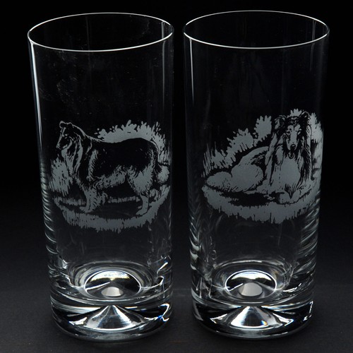 Rough collie dog - rough, highball