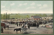 Ashford Cattle Market, Kent. Super Postcard, Posted From Ashford in 1906.