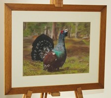 BARBARA TAYLOR Original Pastel