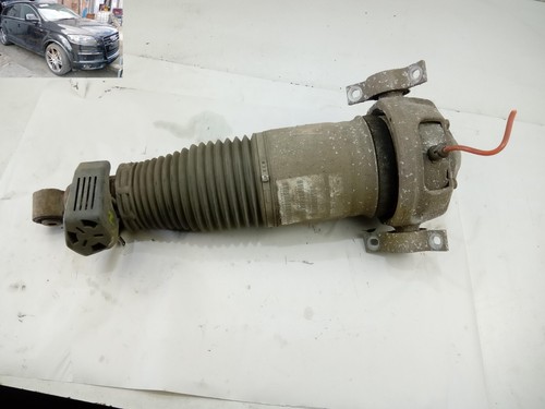 Suspension air spring rear - suspension,