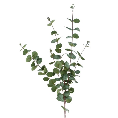 Eucalyptus stem green 100cm - eucalyptus,