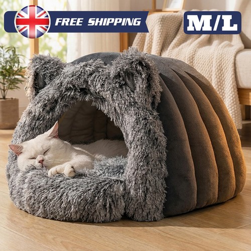 Pet dog cat - dog,