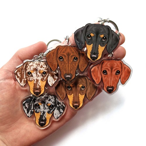 Short hair dachshund acrylic - short,