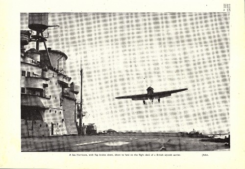 Ww2 hawker sea hurricane - ,