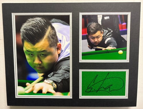 Professional snooker player - professional,