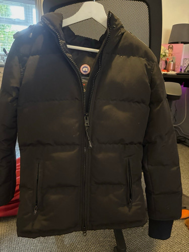 Replica canada goose - replica,