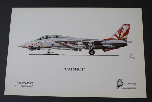 Aviation art 14a - f-14a, tomcat