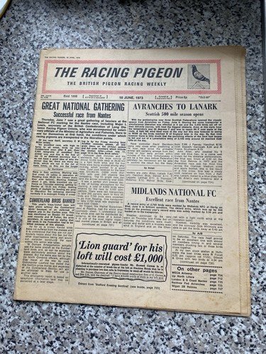 Extremely rare the racing - the,