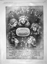Old Antique Print 1903