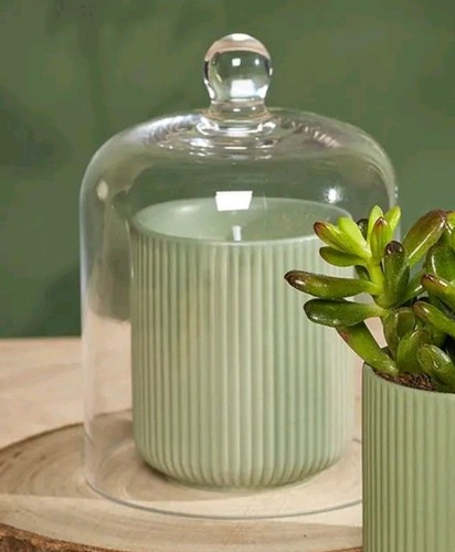 The urban gardener - the,
