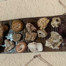 Assorted Rocks, Minerals, and