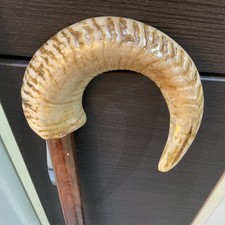 Walking Stick With Rams Horn