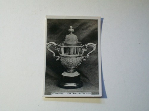 Waterloo cup coursing - waterloo,